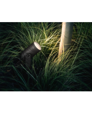 Philips Hue White and Color Ambiance Lily czarny 1741530P7 nr 1