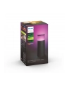 Philips Hue White and Color Ambiance Calla czarny 1742030P7 - nr 17
