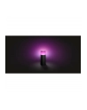 Philips Hue White and Color Ambiance Calla czarny 1742030P7 - nr 23