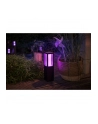 Philips Hue  White and Color Ambiance  Impress czarny 1743430P7 - nr 21