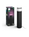 Philips Hue White and Color Ambiance Calla czarny 1743730P7 - nr 26