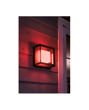 Philips Hue  White and Color Ambiance Econic czarny 1743830P7 nr 1