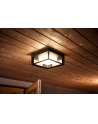 Philips Hue  White and Color Ambiance Econic czarny 1743830P7 - nr 6