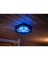 Philips Hue  White and Color Ambiance Econic czarny 1743830P7 - nr 7