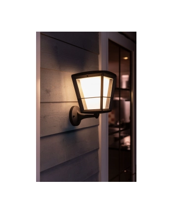Philips Hue White and Color Ambiance Econic czarny 1743930P7 nr 1