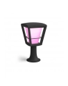 Philips Hue  White and Color Ambiance Econic czarny 1744130P7 - nr 14