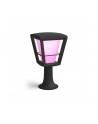Philips Hue  White and Color Ambiance Econic czarny 1744130P7 - nr 1