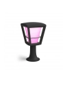 Philips Hue  White and Color Ambiance Econic czarny 1744130P7 - nr 2