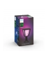Philips Hue  White and Color Ambiance Econic czarny 1744130P7 - nr 4