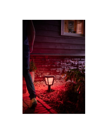 Philips Hue  White and Color Ambiance Econic czarny 1744130P7 nr 2