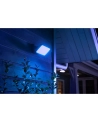 Philips Hue White and Color Ambiance Discover czarny 1743530P7 - nr 20