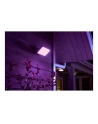 Philips Hue White and Color Ambiance Discover czarny 1743530P7 - nr 7
