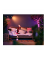 Philips Hue White and Color Ambiance Lily czarny 1741530P7 - nr 18