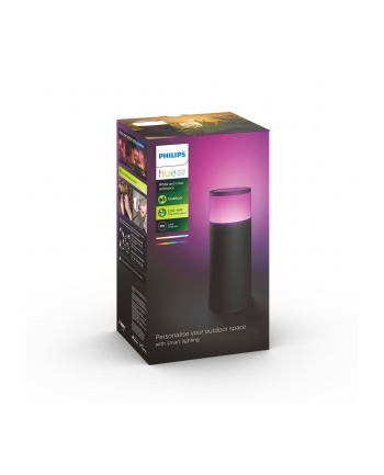 Philips Hue White and Color Ambiance Calla czarny 1742030P7
