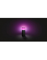 Philips Hue White and Color Ambiance Calla czarny 1742030P7 - nr 28