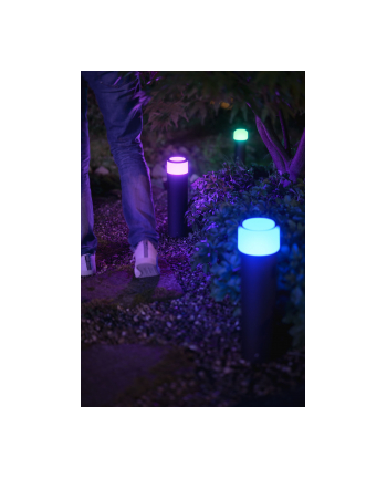 Philips Hue White and Color Ambiance Calla czarny 1743730P7