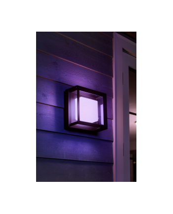 Philips Hue  White and Color Ambiance Econic czarny 1743830P7