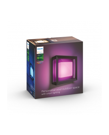 Philips Hue  White and Color Ambiance Econic czarny 1743830P7