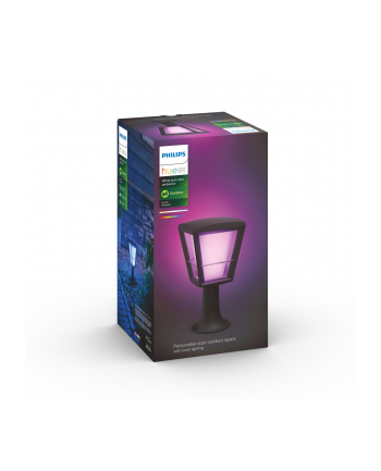 Philips Hue  White and Color Ambiance Econic czarny 1744130P7