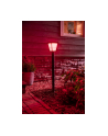 Philips Hue  White and Color Ambiance Econic czarny 1744230P7 - nr 11