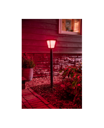 Philips Hue  White and Color Ambiance Econic czarny 1744230P7