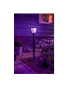 Philips Hue  White and Color Ambiance Econic czarny 1744230P7 - nr 13