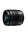 Panasonic 12-60mm  F3,5-5,6 (H-FS1260) - nr 7