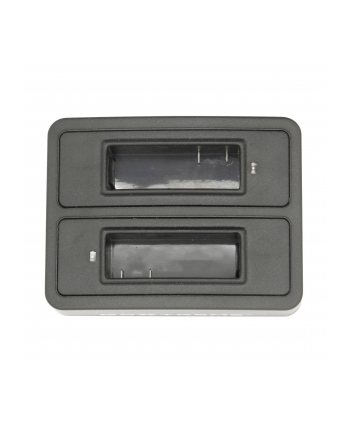 EasyPix GoXtreme Battery Charge for Rally(1491)