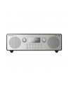 Panasonic RF-D100BT srebrno-brązowy - nr 7