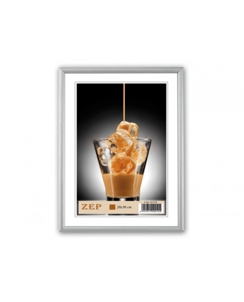 ZEP Basic Aluminium Frame (AL1S4)