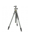 Vanguard Alta Pro 2+ (263AB100) - nr 1