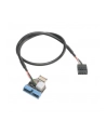 Akasa Adapter intern USB 3.1 zu intern USB 3.0 - 40 cm - nr 11