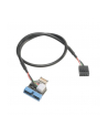 Akasa Adapter intern USB 3.1 zu intern USB 3.0 - 40 cm - nr 1