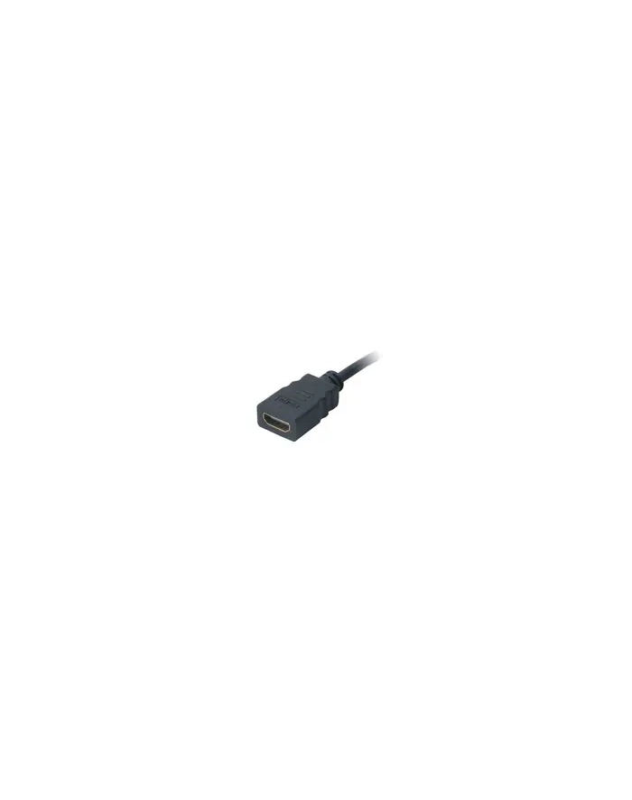 Akasa HDMI na microHDMI 25cm (AK-CBHD09-25BK) główny