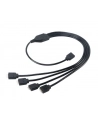 Akasa RGB Splitterkabel Verlängerung - 50 cm - nr 10