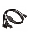 Akasa RGB Splitterkabel Verlängerung - 50 cm - nr 5