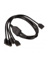 Akasa RGB Splitterkabel Verlängerung - 50 cm - nr 7
