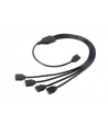 Akasa RGB Splitterkabel Verlängerung - 50 cm - nr 9