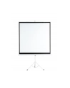 Płótno Aveli stativ 152x152cm (XRT-00183) (XRT-00183) - nr 2