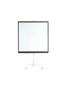 Płótno Aveli stativ 152x152cm (XRT-00183) (XRT-00183) - nr 9