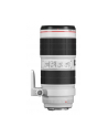 Canon 70-200mm f/2.8L EF IS III USM - nr 5
