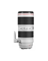 Canon 70-200mm f/2.8L EF IS III USM - nr 5