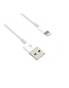 C-Tech Kabel USB C-Tech 2.0 Lightning (CBAPL20W) - nr 3