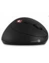 Connect IT FOR HEALTH LADIES (CMO2600BK) - nr 5