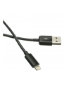 C-Tech Przewód USB 2.0 Lightning (iPhone 5 i wyższe modele) ładowanie i synchronizacja, 2m, czarny CB-APL-20B - nr 1
