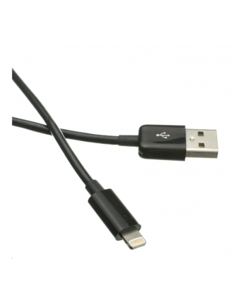 C-Tech Przewód USB 2.0 Lightning (iPhone 5 i wyższe modele) ładowanie i synchronizacja, 2m, czarny CB-APL-20B