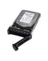 Dell 300GB (400AJRO) - nr 11