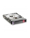 HP DRV HD 146GB 10K 2.5 DP HP 6G (507283-001) - nr 1