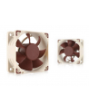 Noctua NF-A6x25-PWM - nr 6