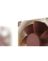 Noctua NF-A6x25 60mm PWM 5V - nr 13